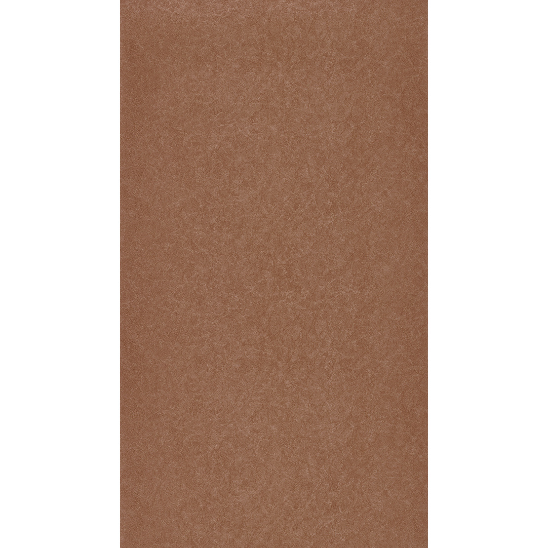 Corium BFCO 8267 24 53
