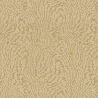 Coromandel 8012116-16
