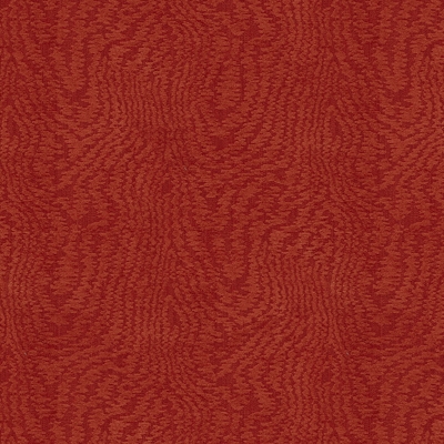 Coromandel 8012116-19