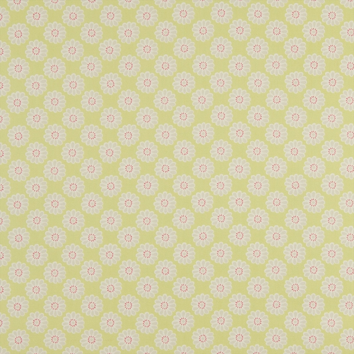 Daisy Lime F0364-06