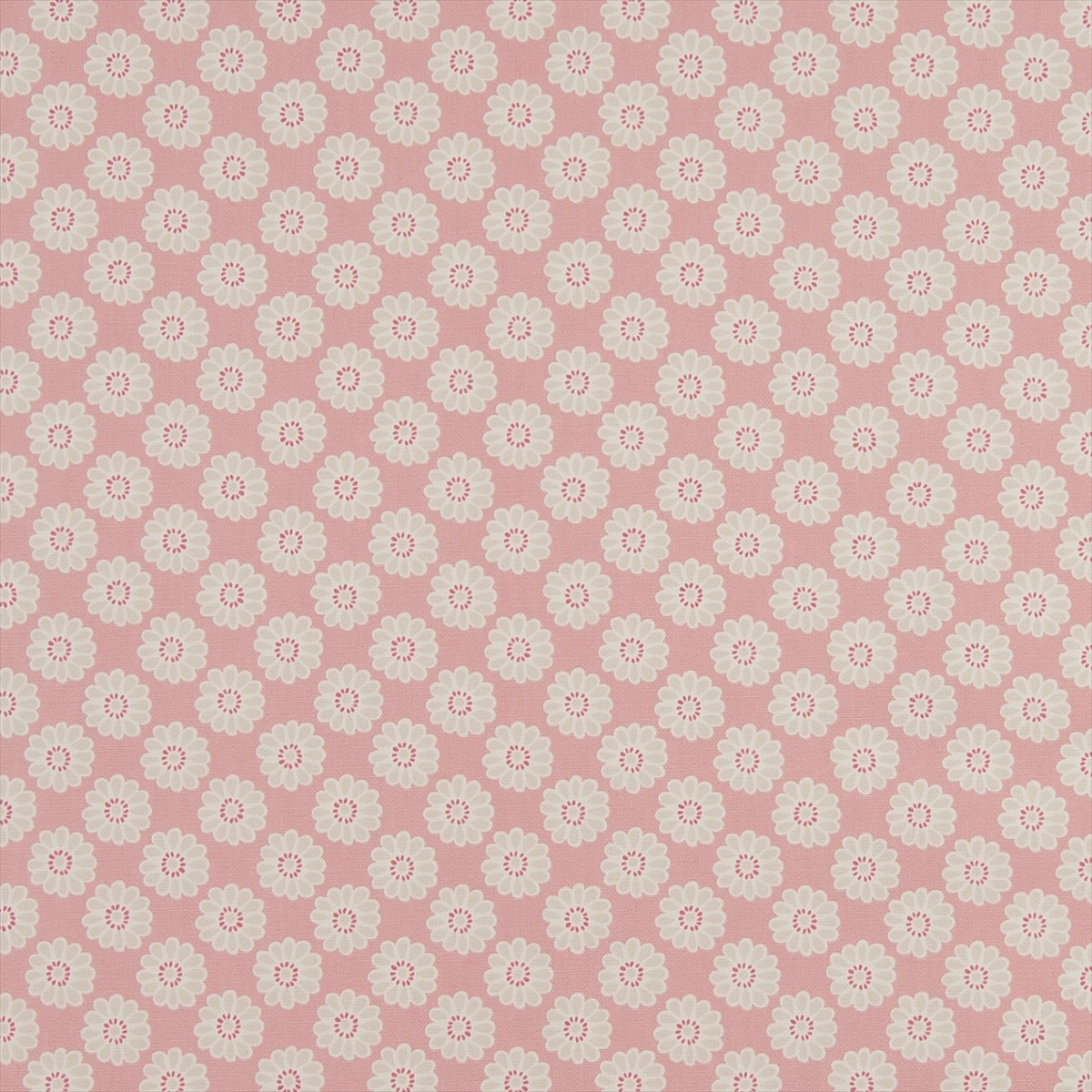 Daisy Pink F0364-05