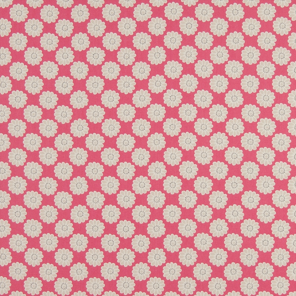 Daisy Raspberry F0364-02
