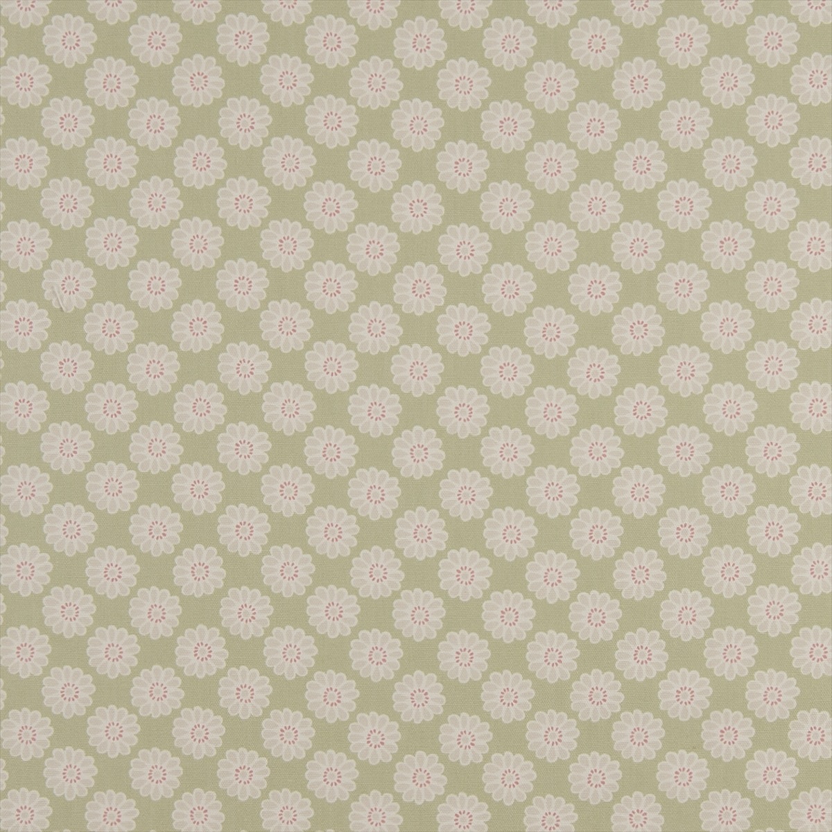 Daisy Sage F0364-01