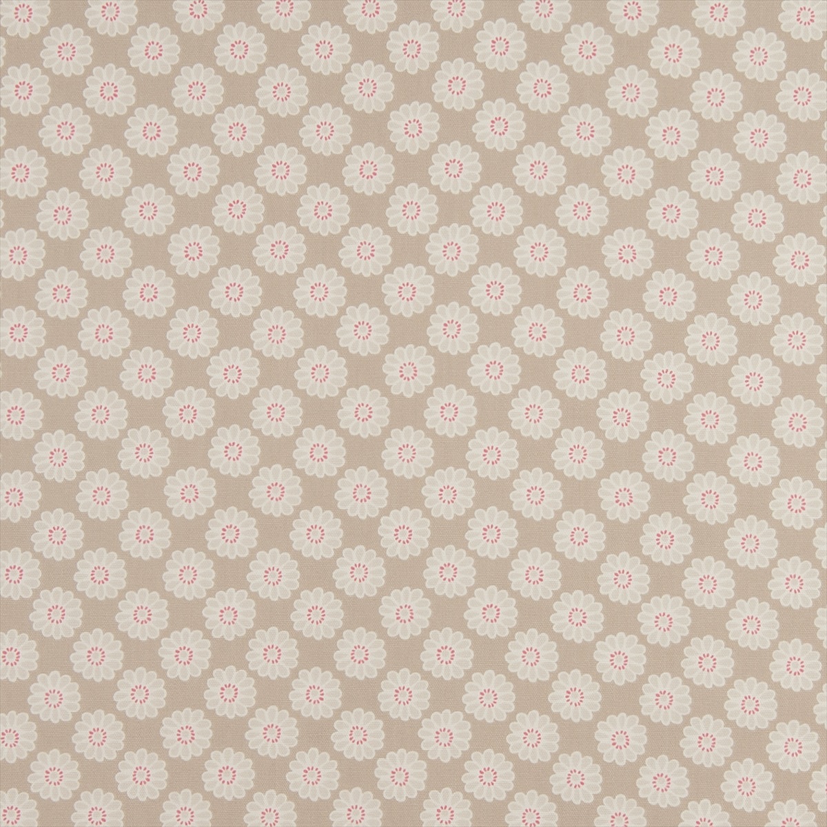 Daisy Taupe F0364-03
