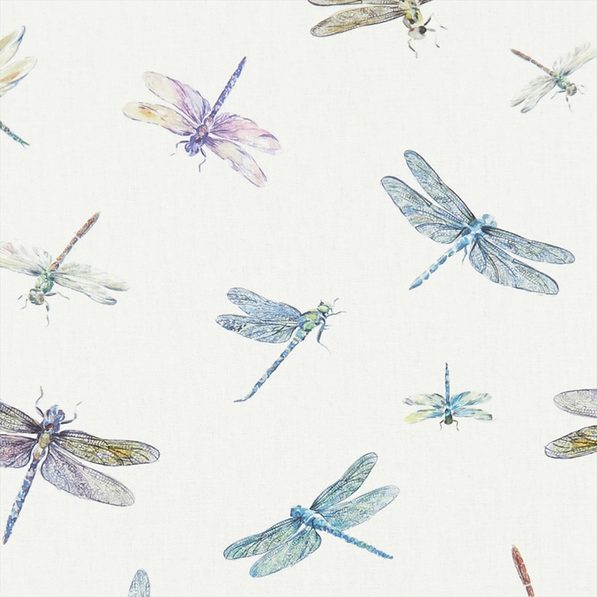 Dragonflies F1264-01