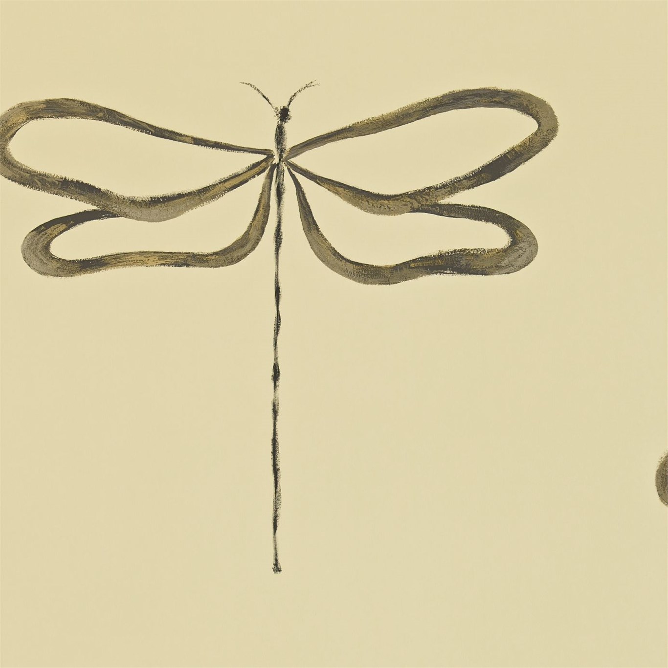 Dragonfly 110242