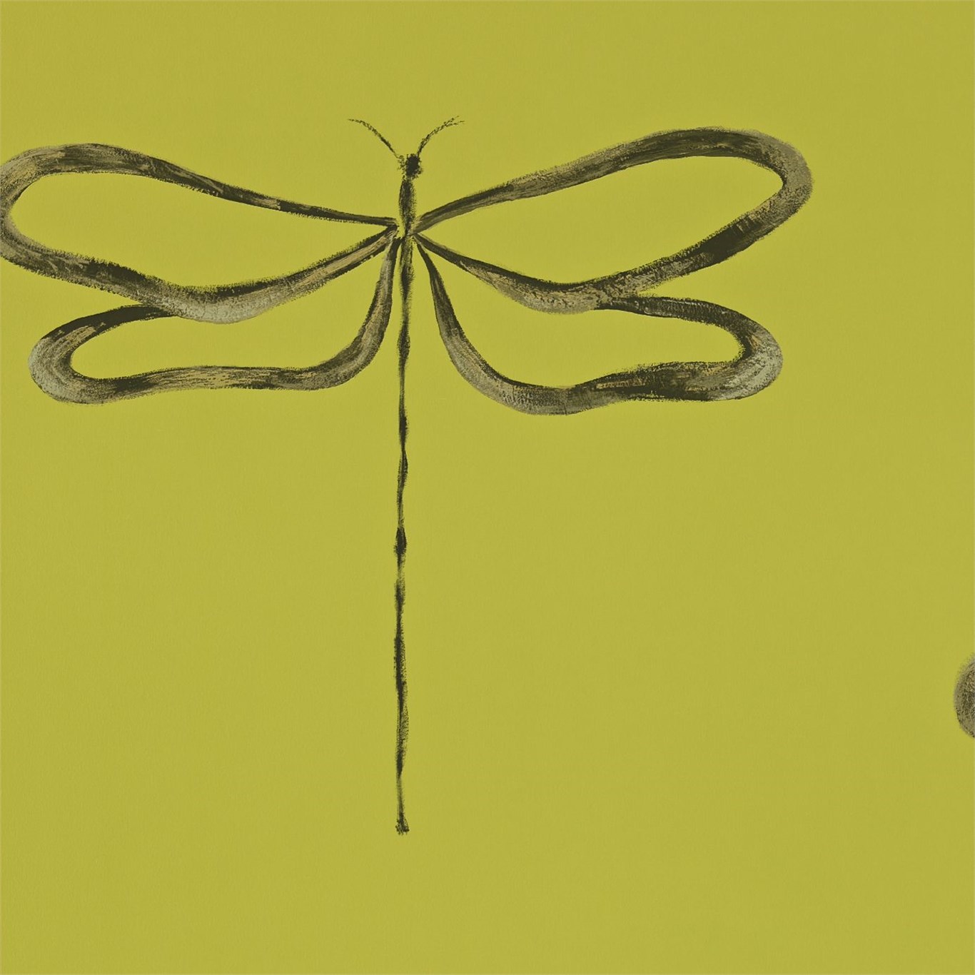 Dragonfly 110245