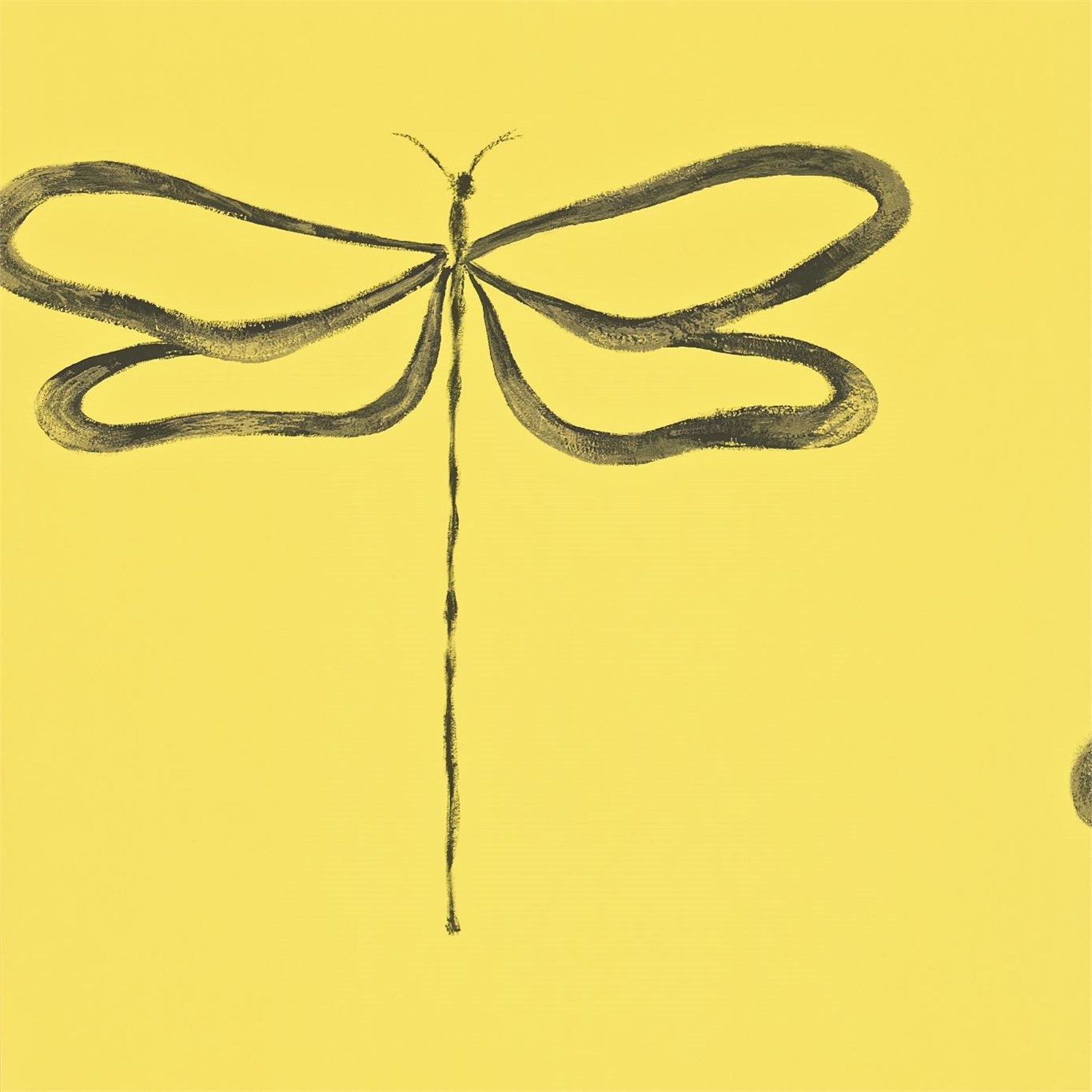 Dragonfly 110248