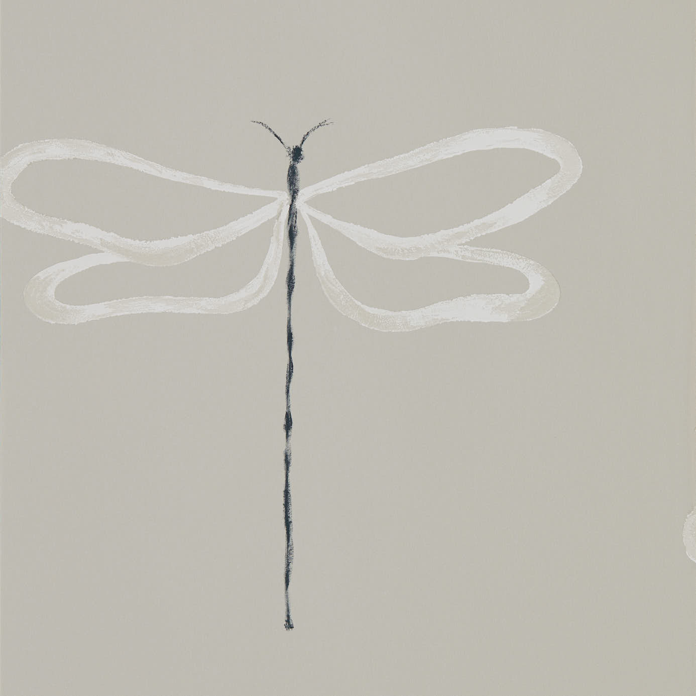 Dragonfly 111933