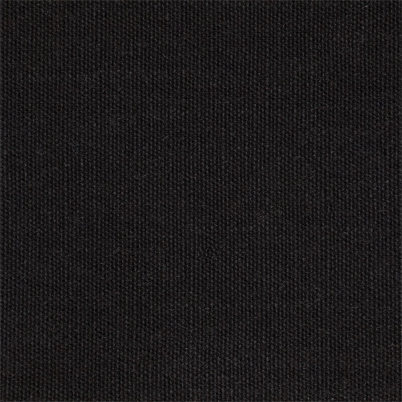 Ebony Plains One 130432