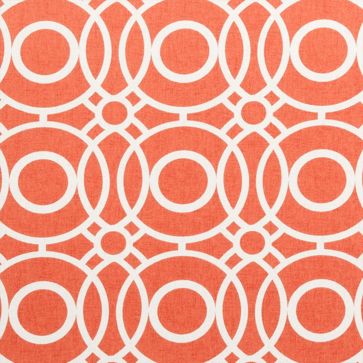 Eclipse Spice F0589-06