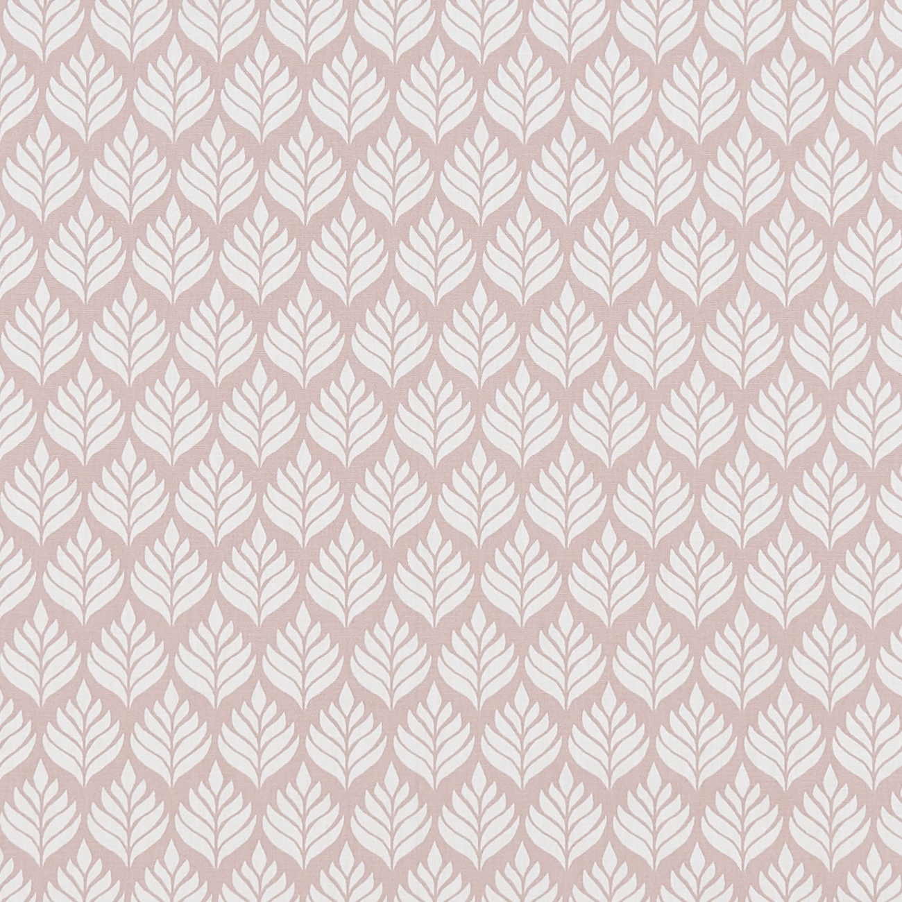 Elise Blush F1372-01