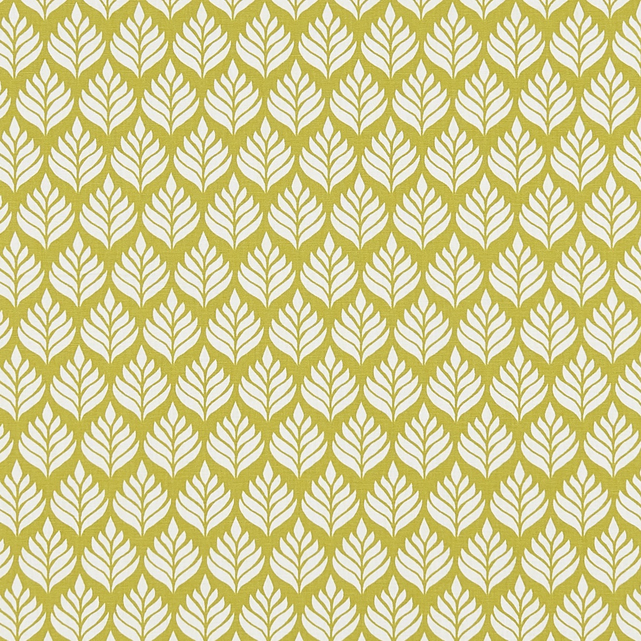 Elise Citrus F1372-03