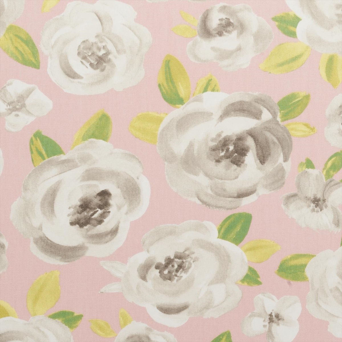 Elodie Sorbet F0590-03