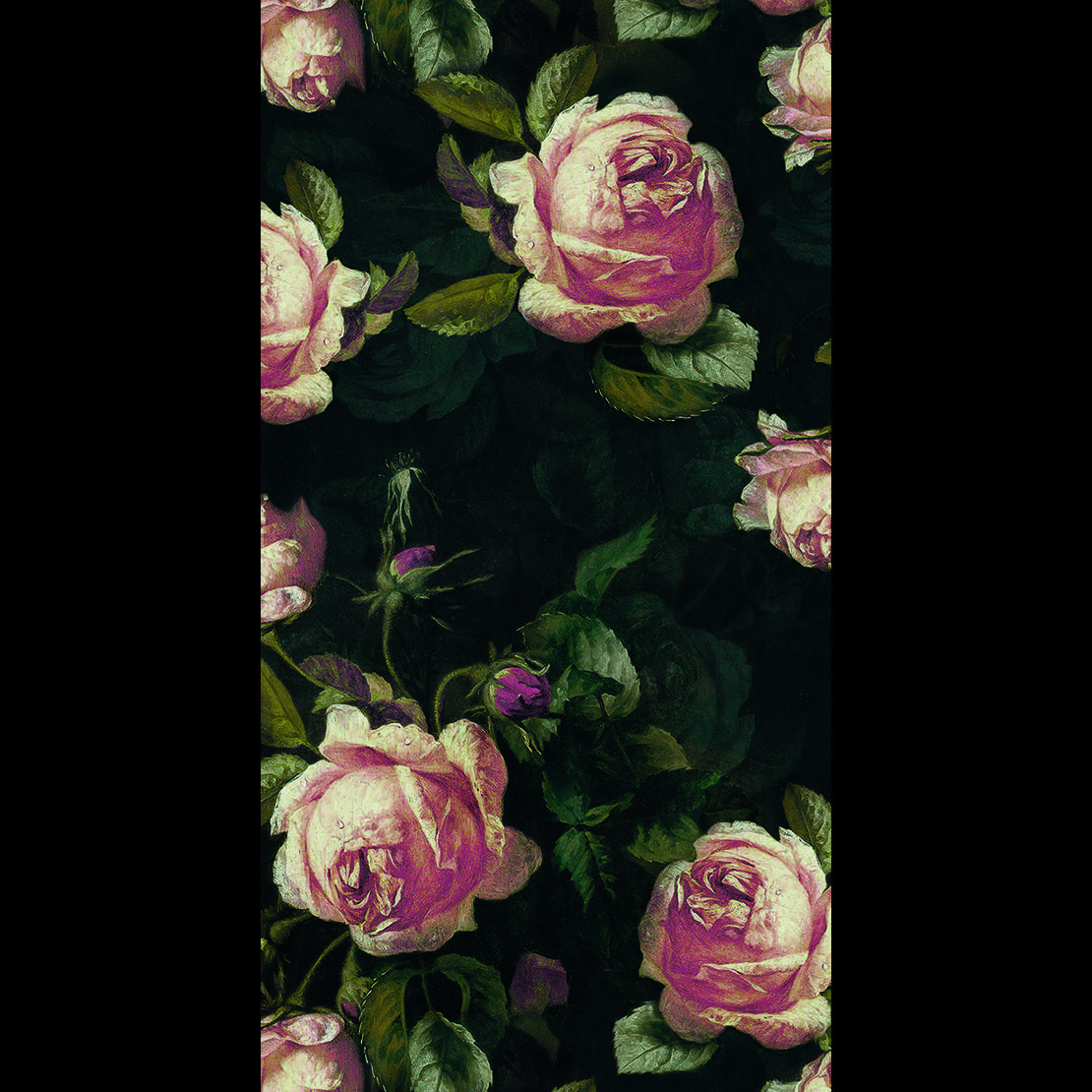 English Roses BFIM 8492 94 13