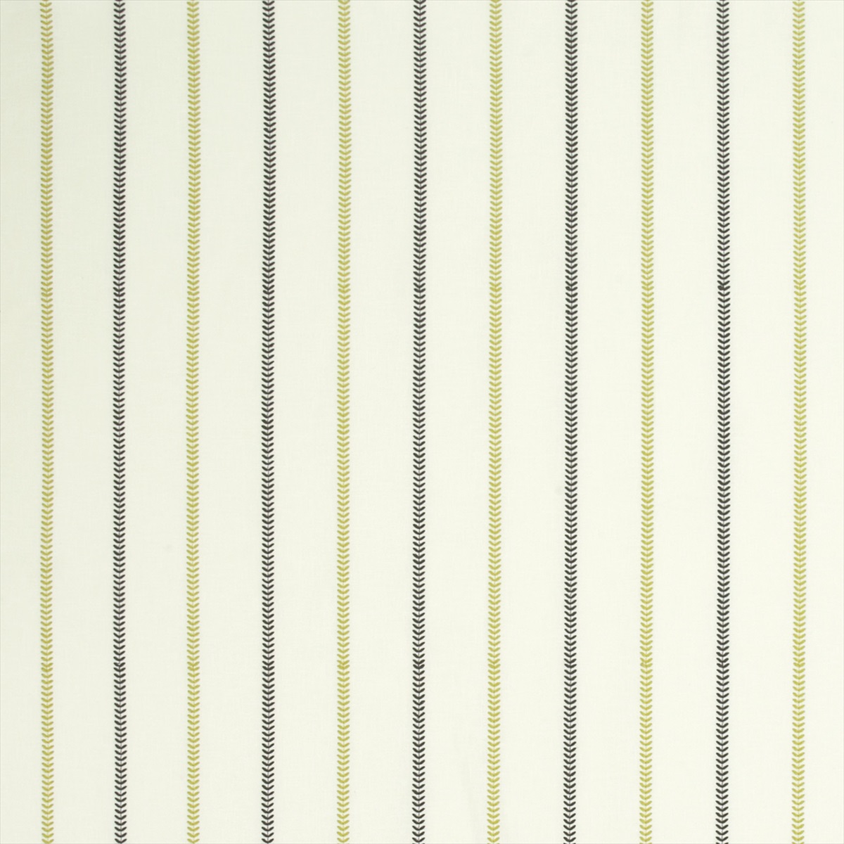 Enya Chartreuse-Charcoal F0994-01