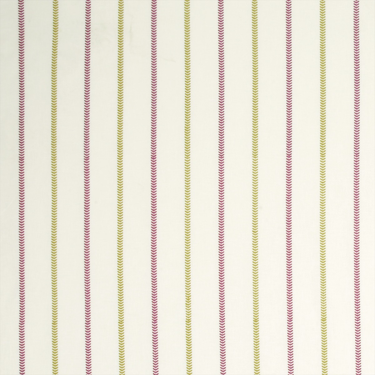 Enya Heather-Olive F0994-02
