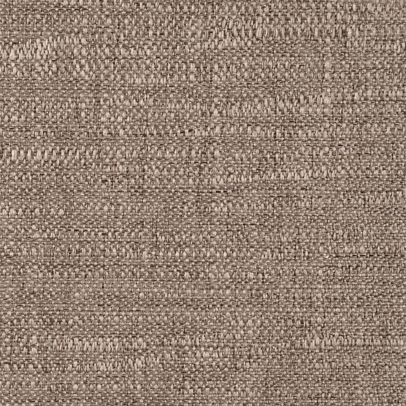 Extensive 440785