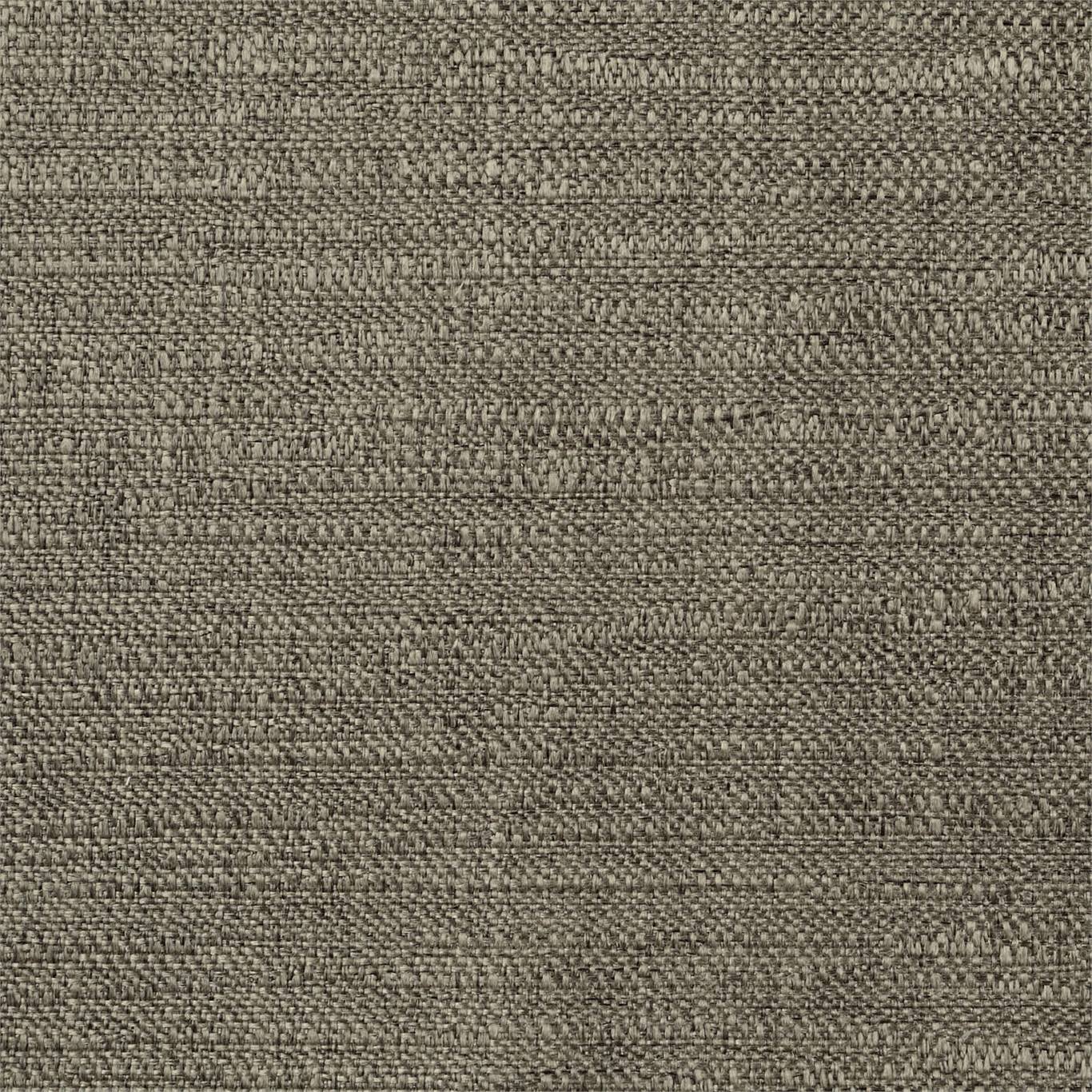 Extensive 440790