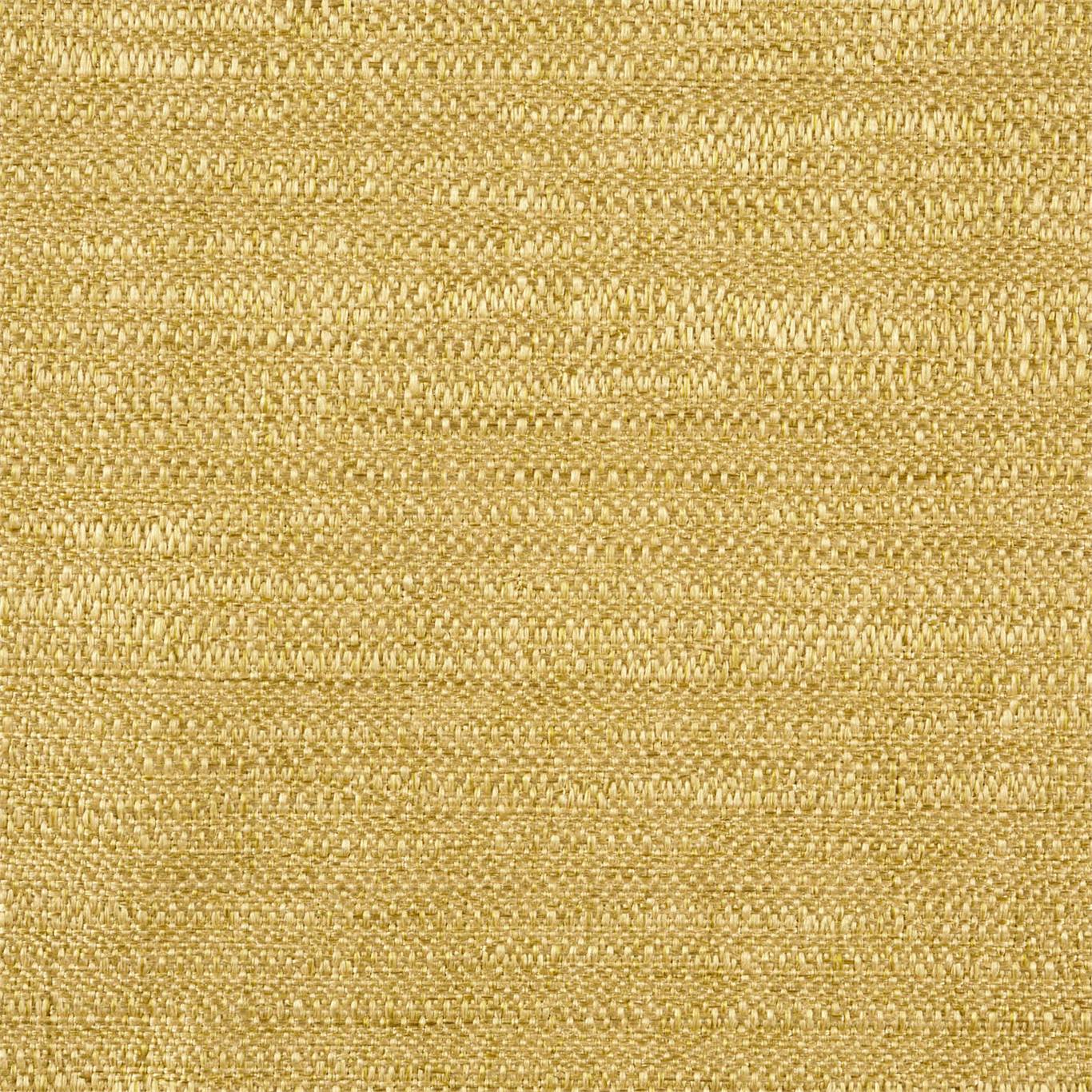 Extensive 440829