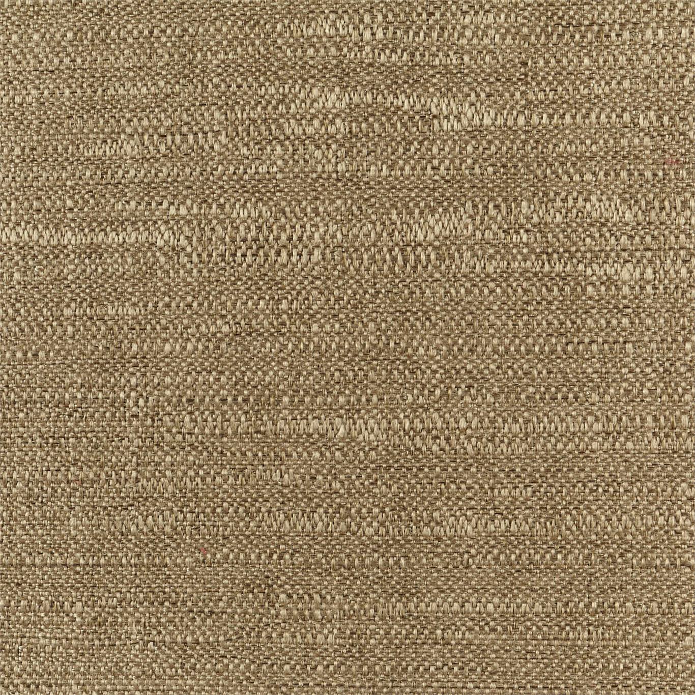Extensive 440833