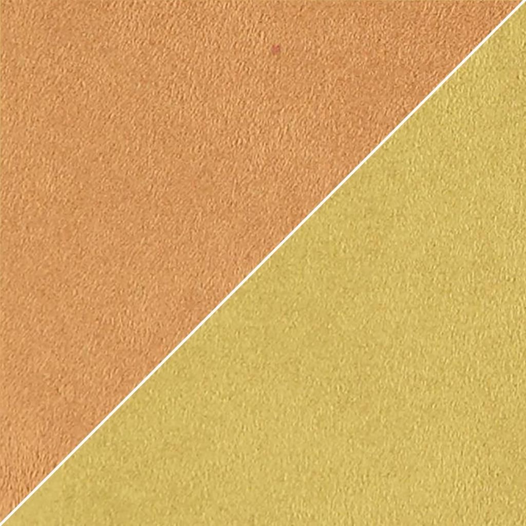 Moleskine FCL2270-06