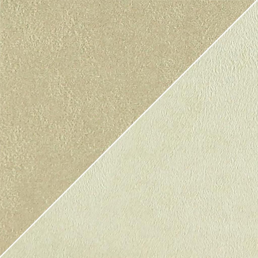 Moleskine FCL2270-11