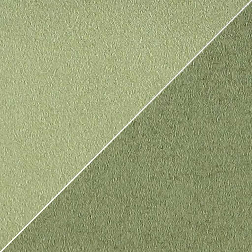 Moleskine FCL2270-12