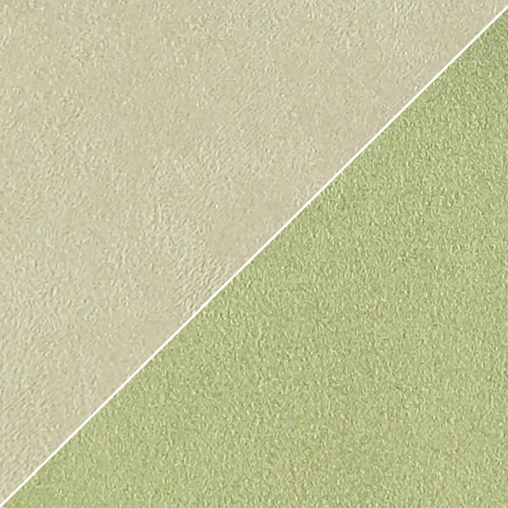 Moleskine FCL2270-13