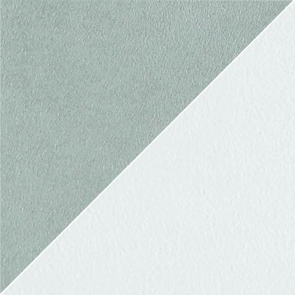 Moleskine FCL2270-15