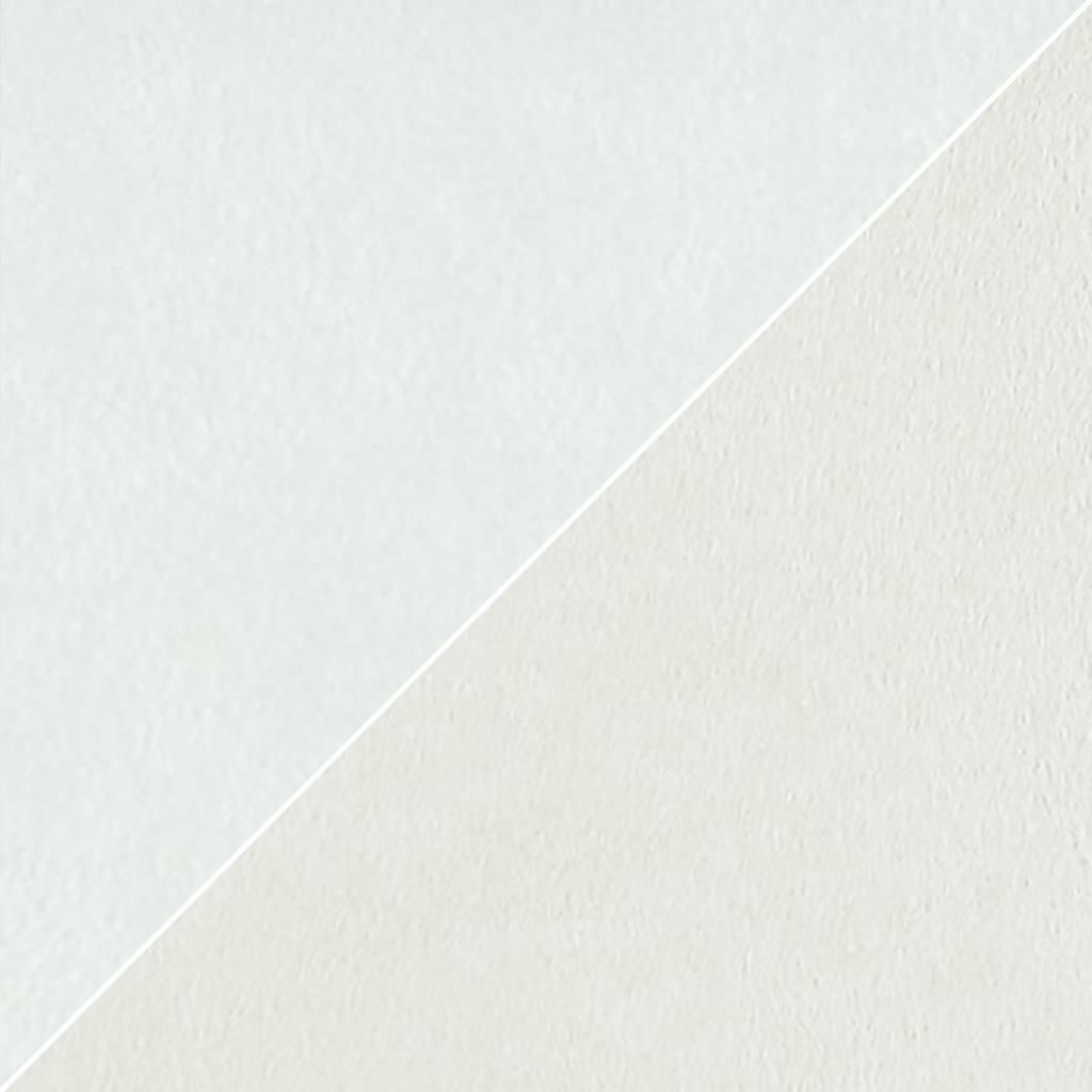 Moleskine FCL2270-17