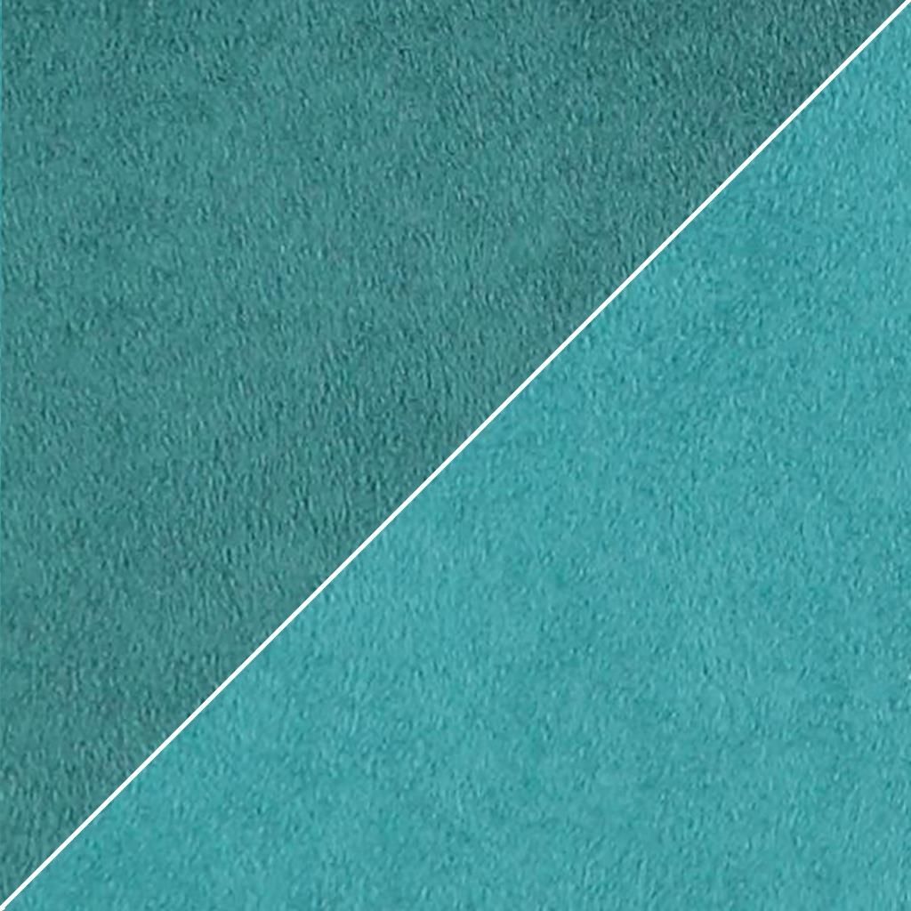 Moleskine FCL2270-21