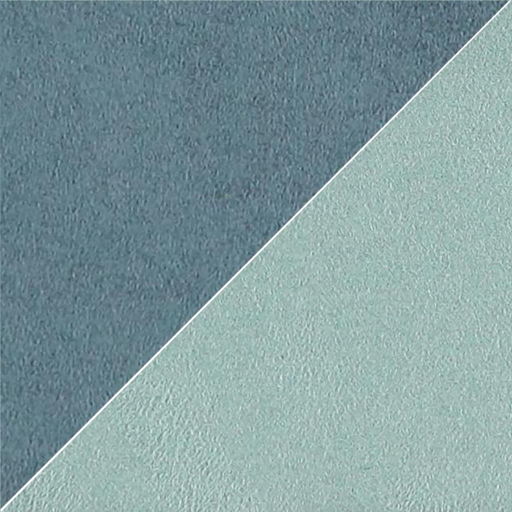 Moleskine FCL2270-23