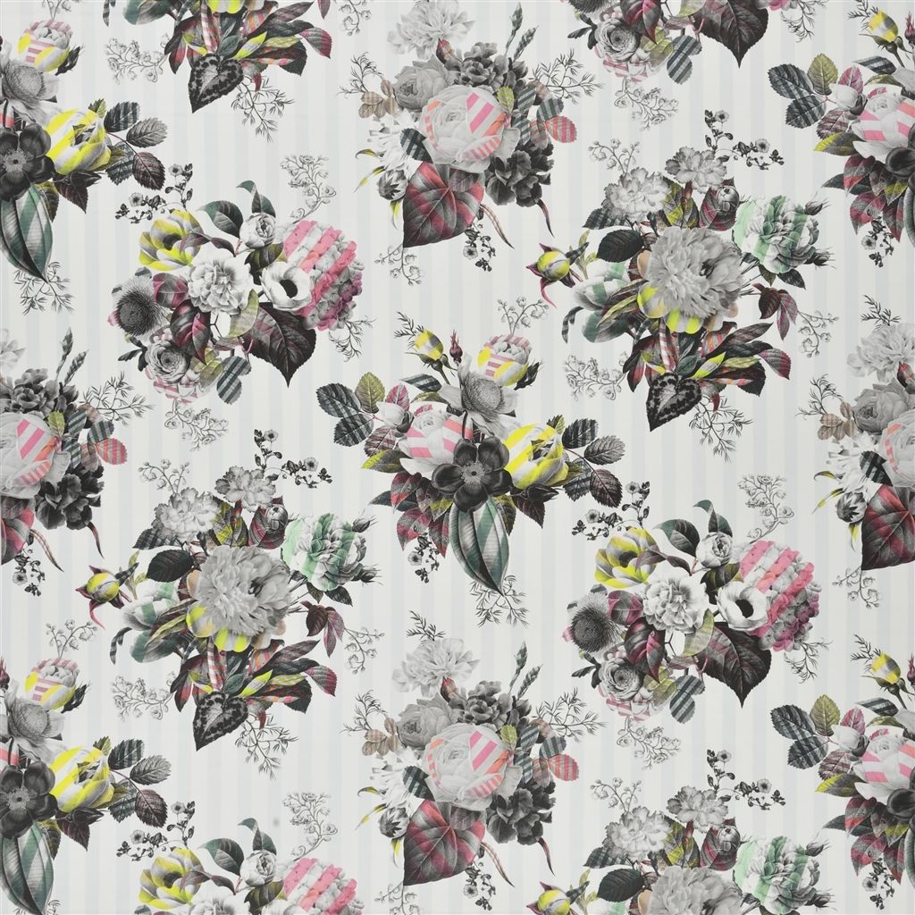 Parvenue Rosee FCL2489-01