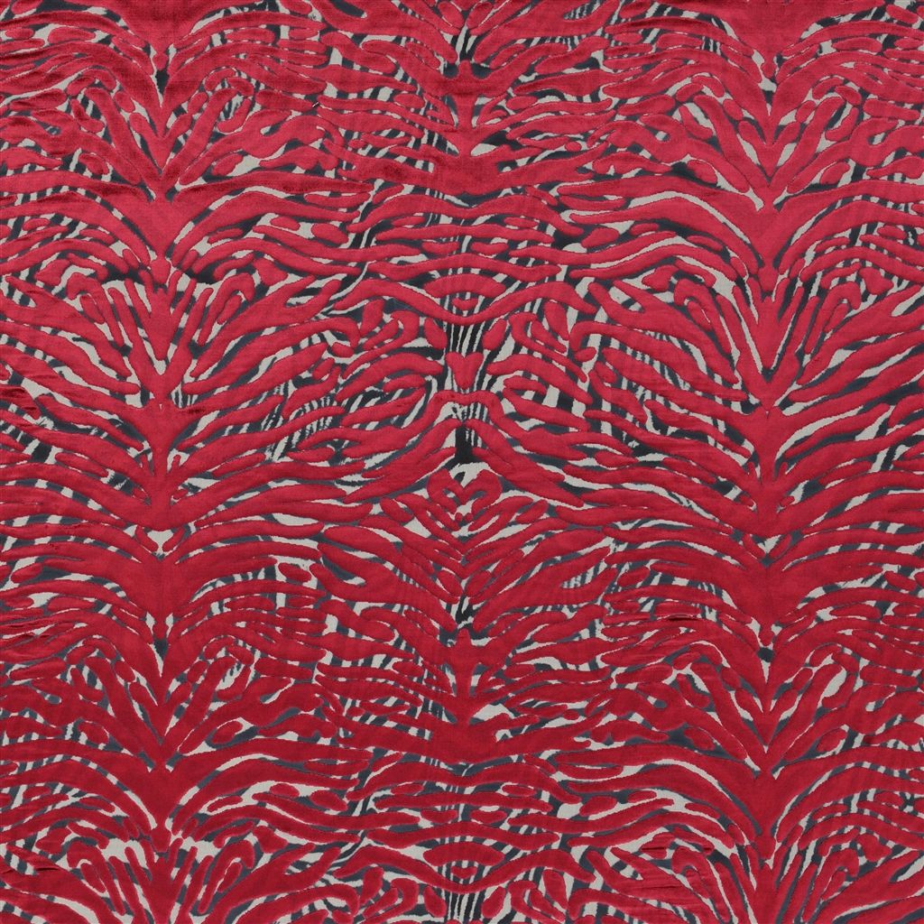 Soft Pantigre FCL2282-04