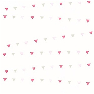 Fanion Cirque AES 2831 46 20