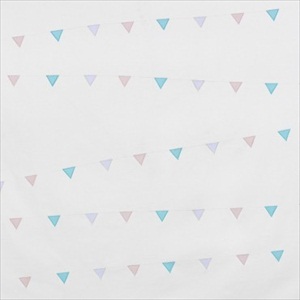 Fanion Cirque AES 2831 52 10