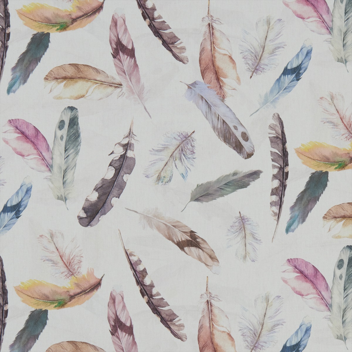 Feather Cream F1153-01