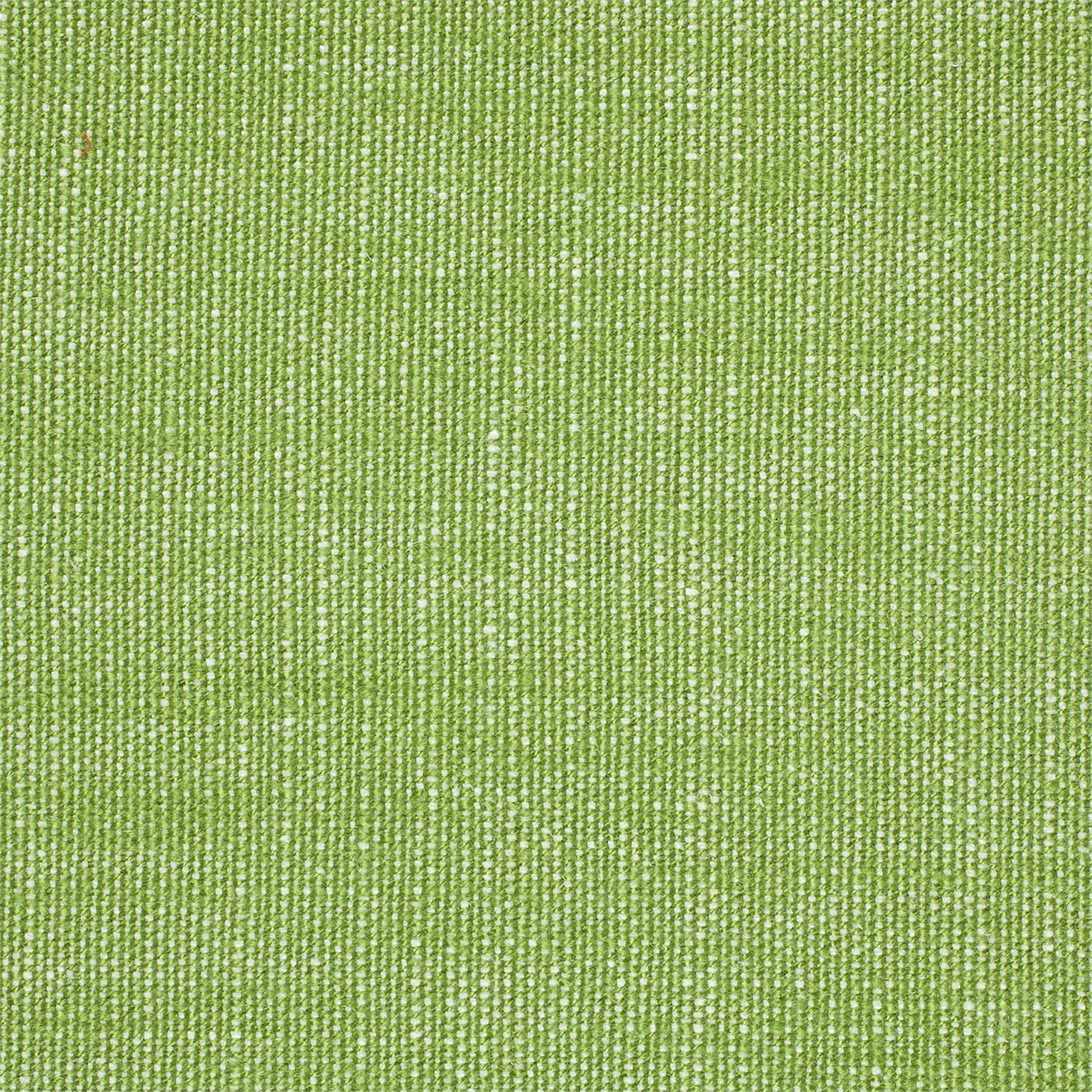 Fern Plains One 130475
