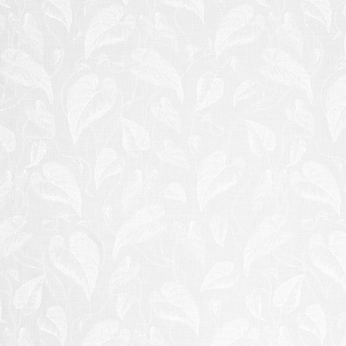 Feuilles de Vigne Voile RDV 2909 01 01