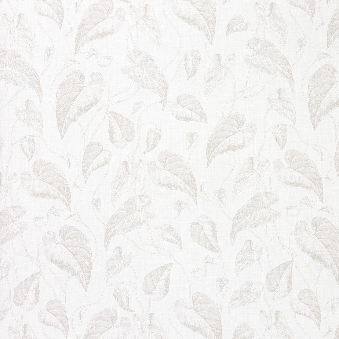 Feuilles de Vigne Voile RDV 2909 12 34