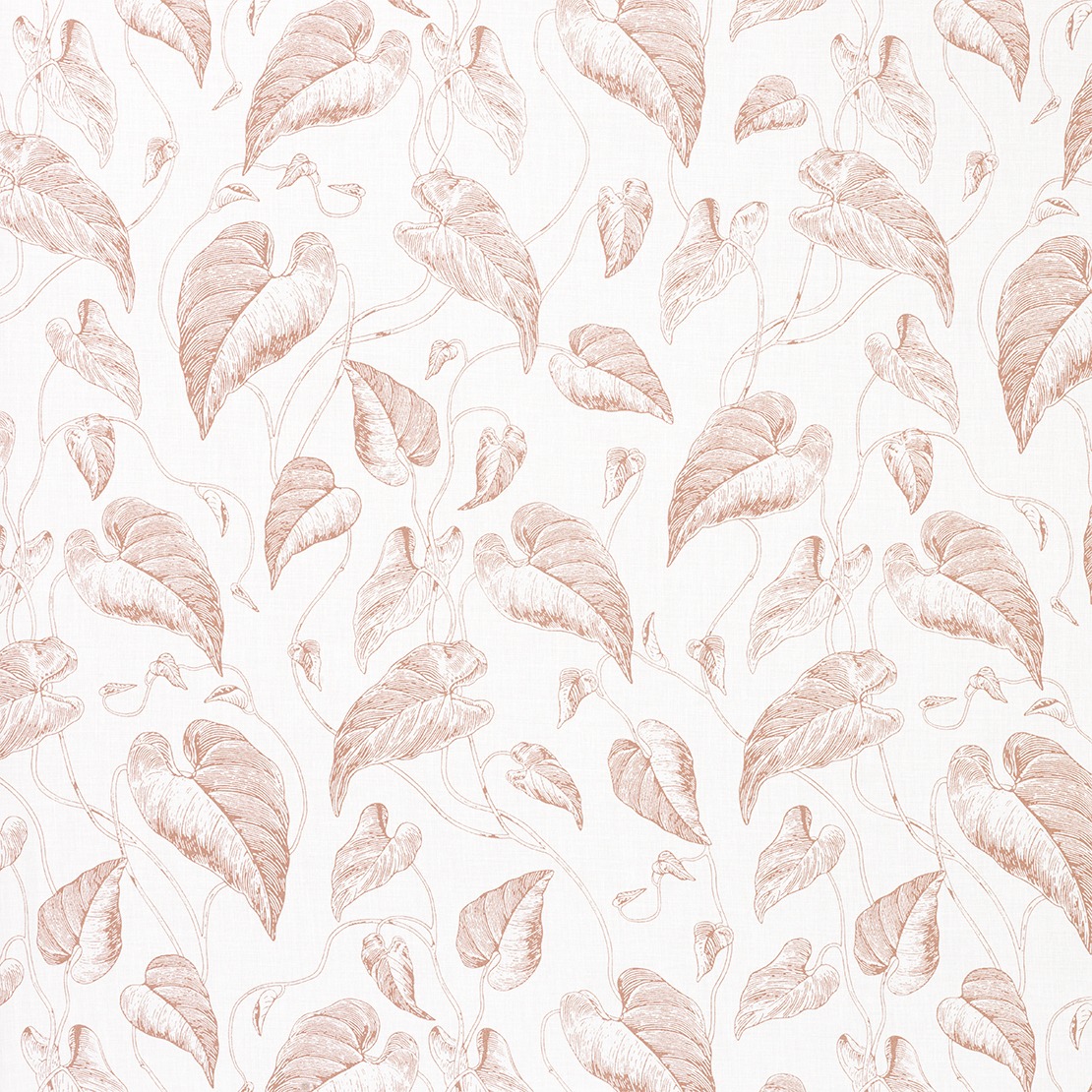 Feuilles de Vigne Voile RDV 2909 28 26