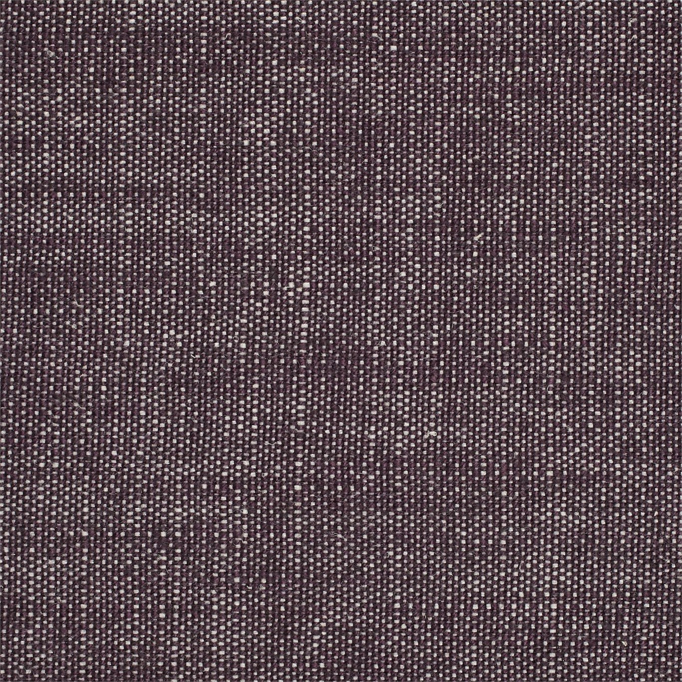 Fig Plains One 130470