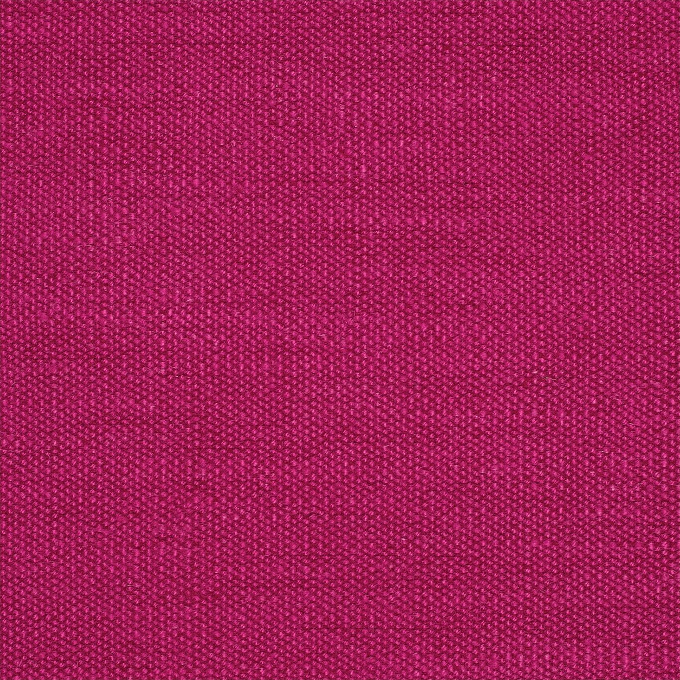 Fuchsia Plains One 130463