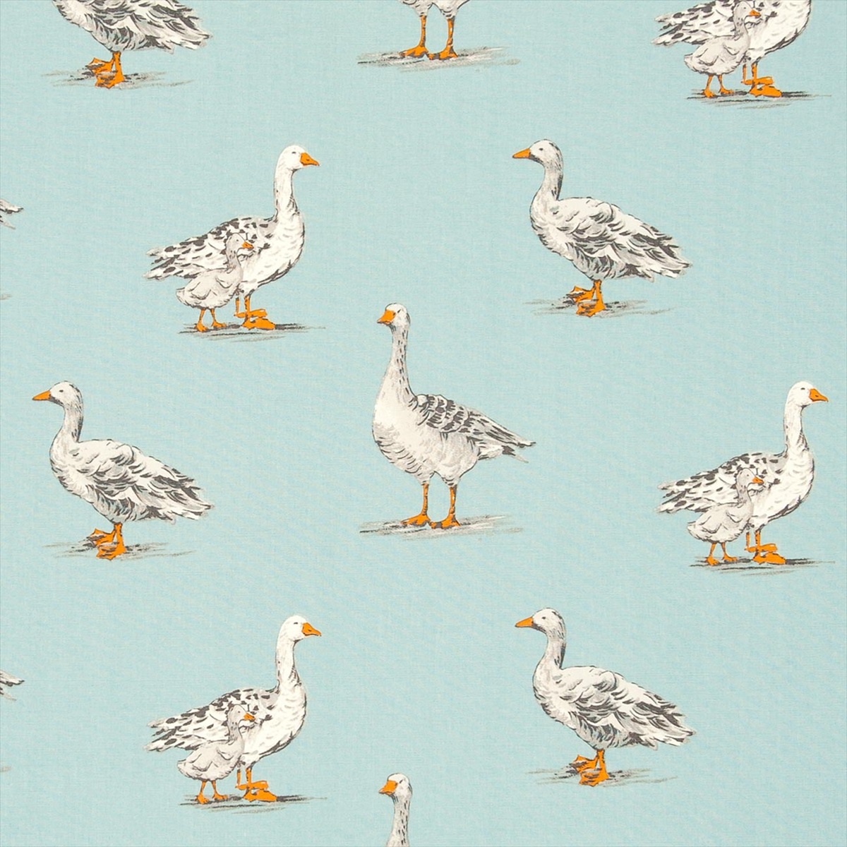 Geese Duckegg F0782-01