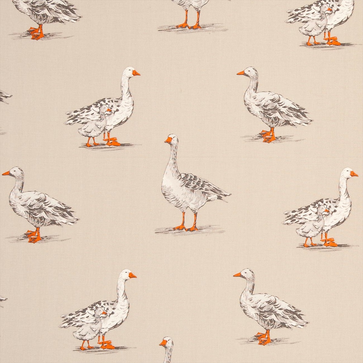 Geese Natural F0782-02