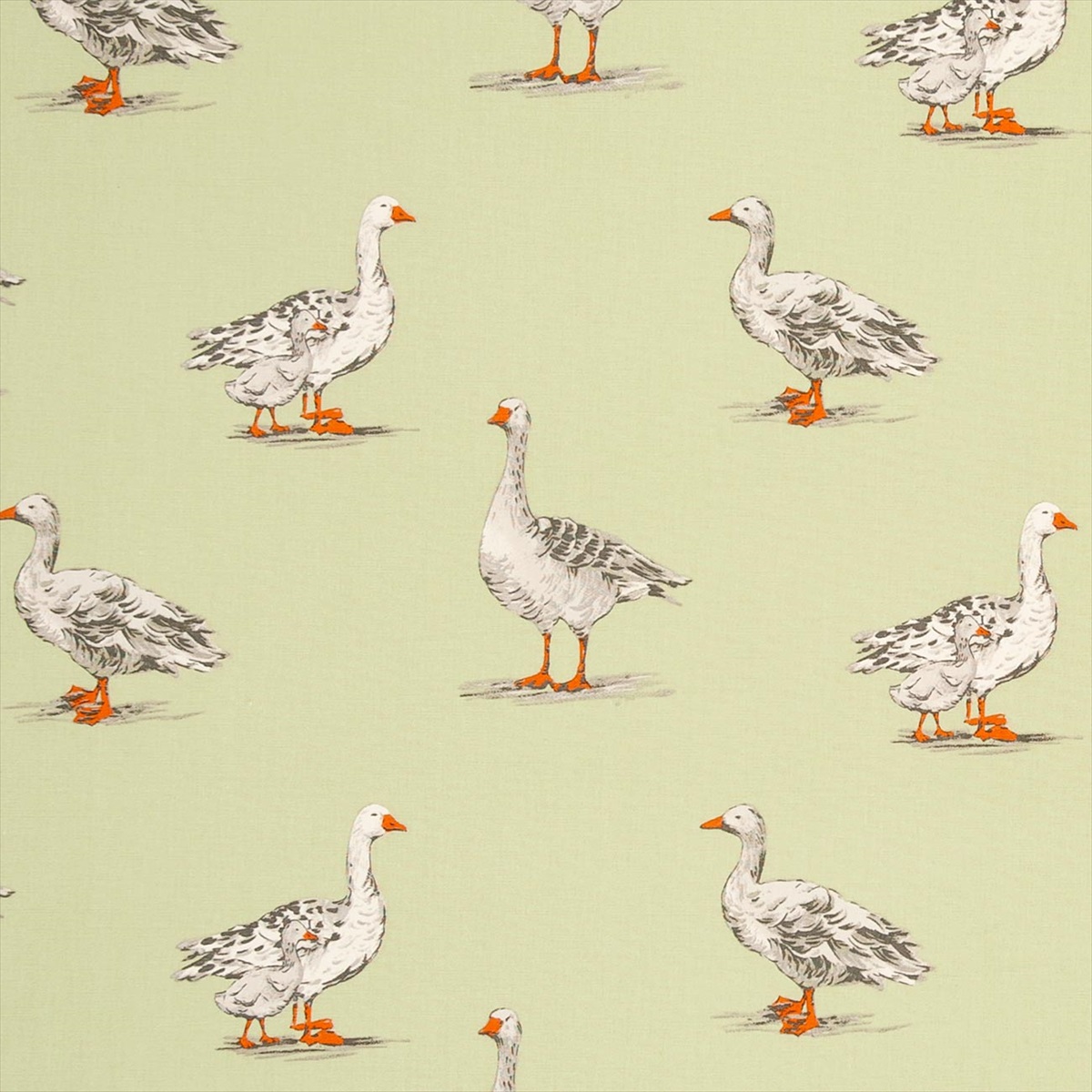 Geese Sage F0782-03