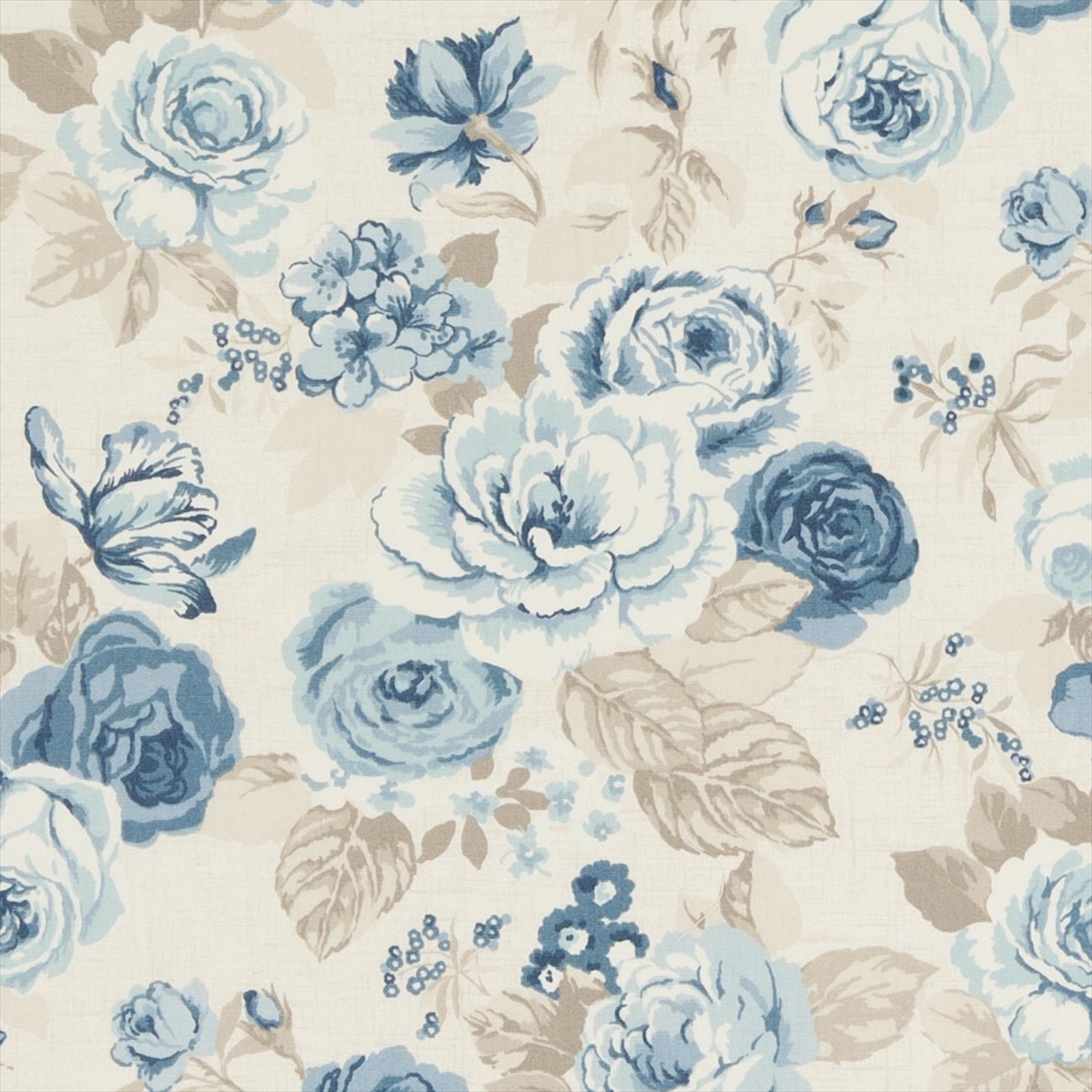 Genevieve Chambray F0622-01