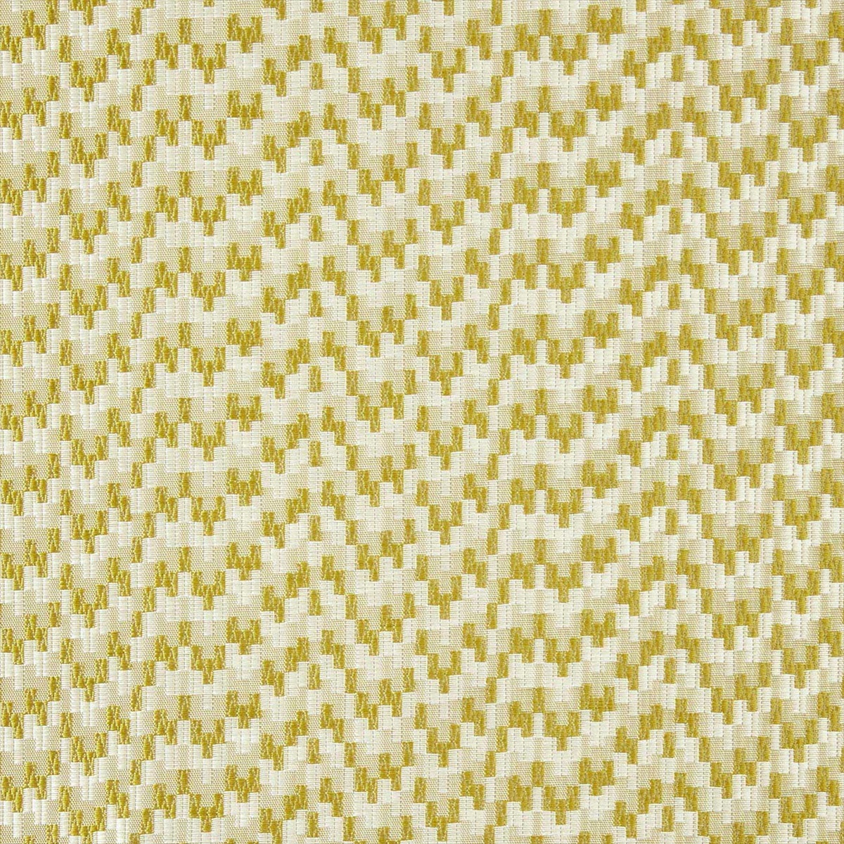 Giacomo Olive F0983-05
