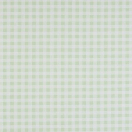 Gingham Check Mint F0088-05